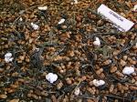 Gr&uuml;ntee Japan Genmaicha