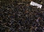 Malaysia Hochland Oolong Grade AA