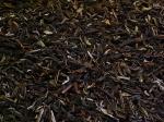 Schwarztee Darjeeling Himalaya-Mischung Secound Flush TGFOP