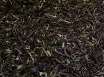 Schwarztee Darjeeling First Flush FTGFOP1, Risheehat