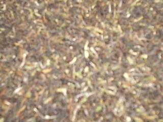Schwarztee Darjeeling Tigerhill